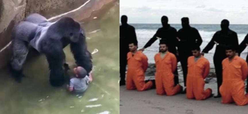 L’uccisione del gorilla fa più notizia dei martiri cristiani decapitati da Isis
